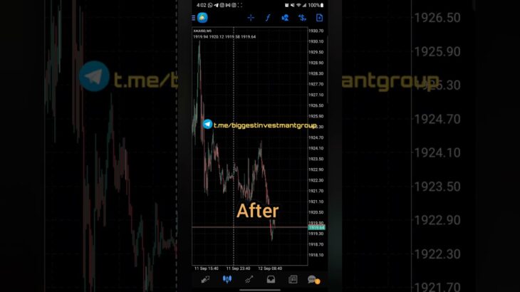 Biggest Evolution Gold EA 💪🤑 #biggesevolutiongoldea #biggesttrader #forexbigroup #forex #forexea #fx