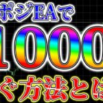 ナンピン無しEAで年利1000％稼ぐ方法とは？【FX】【FX自動売買】