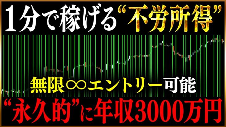 【不労所得】無限∞エントリー可能なので永久的に年収3000万！1分取引で今最も投資界を賑わす熱い手法はコレだ【バイナリーオプション 必勝法】【初心者 FX】【ハイローオーストラリア】【ゆっくり解説】