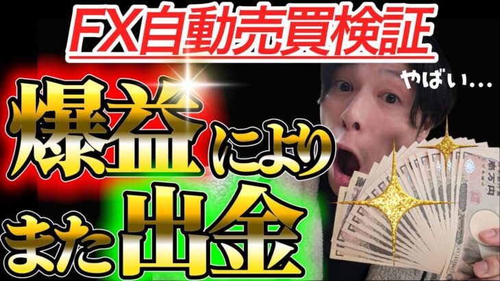 【 FX自動売買検証】再び一撃19万決済発生！絶好調のEA検証結果と最後に🆕新EAについてのお話あり