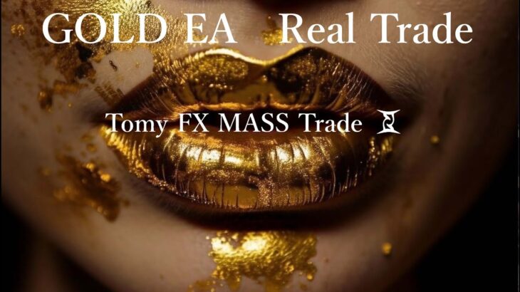 【FXライブ】11/23　ゴールドEA リアルトレード　XAUUSD / GOLD