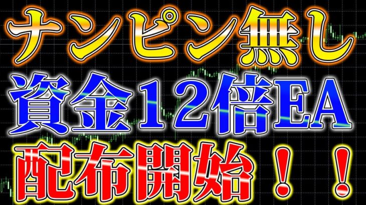 ナンピン無しで資金12倍にした単ポジEA配布開始します【FX】【FX自動売買】