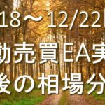 【FX】12/18~12/22 FX自動売買EA実績・今後の相場分析