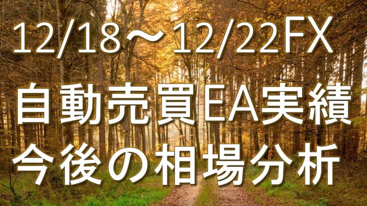 【FX】12/18~12/22 FX自動売買EA実績・今後の相場分析