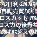 12/13日利-348,747円 FX自動売買EA実績 Leoロスカット Vegaはロスカットの後爆益 Ver.1.60は8%超えの爆益