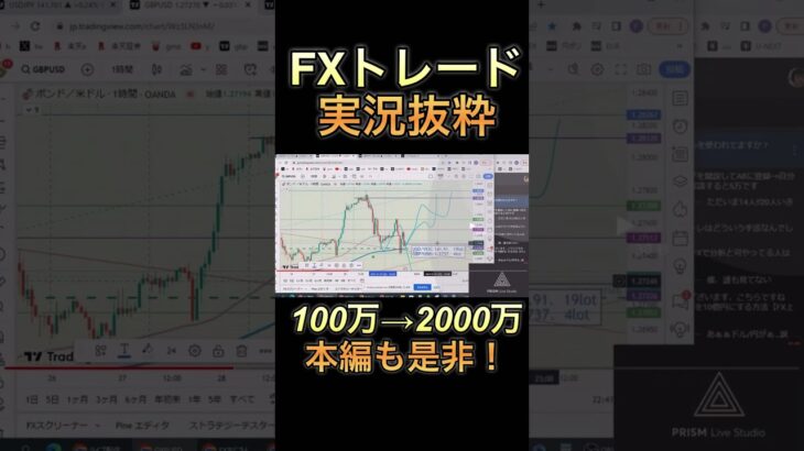 FXで100万→2000万！トレード実況ダイジェスト！①