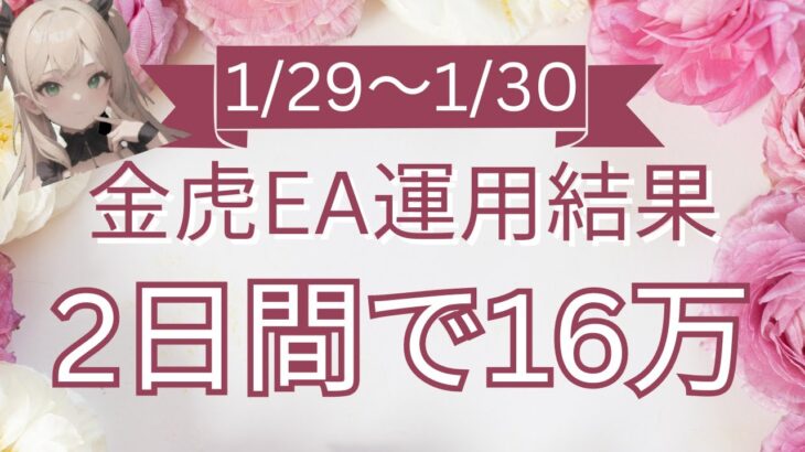 【FX自動売買】日給新記録更新！安定感と爆益を兼ね備えた金虎EAが凄いｗｗ