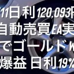 1/11日利120,093円 FX自動売買EA実績 CPIでゴールドWING爆益 日利19%