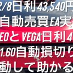 2/8日利43,540円 FX自動売買EA実績 LeoとVega日利4% Ver.1.60自動損切り働いて助かる