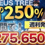 【 週利10%発表】FX自動売買運用！「ZEUS TREE」47ヶ月破綻実績なし！！ISM余裕でたった週利¥275,650円利益！ 週間結果報告あり。