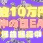 💰日給10万円💰【神の目EA】今週のご報告🫶🏻【無料EA】【FX】【ミリオンシップ】