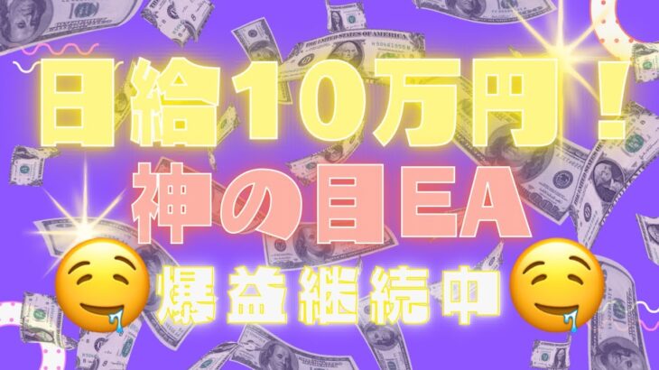 💰日給10万円💰【神の目EA】今週のご報告🫶🏻【無料EA】【FX】【ミリオンシップ】