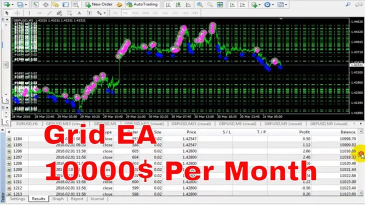 Grid Trading Forex Robot Best EA For Cent Account | Download
