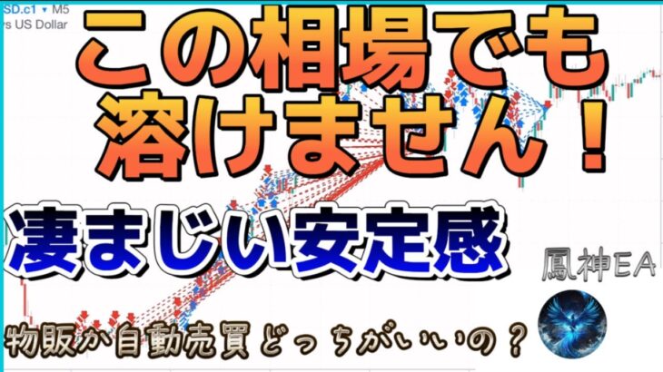 【FX自動売買】鳳神EA利益報告をしていきます。荒れ相場でも安定した利益があると嬉しいですね。