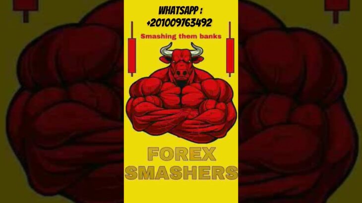 FX SMASHERS MT5 EA 2024 FREE DOWNLOAD 👀💬❤️