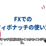 FXトレード必勝法！フィボナッチをマスターしよう