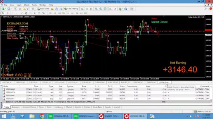 Forex Hedge Scalper Expert Advisor With Amazing Results