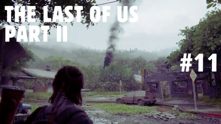 The Last of Us part Ⅱ #11 実況無し