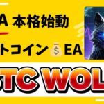 【FX自動売買】遂に新EA稼働！BTC WOLF！金虎EA Gold RushEA Milion ShipEA 裏金虎EA 投資　おすすめ　副業　ドル円　ゴールド　BTC ゆーろどる　為替　仮想通貨