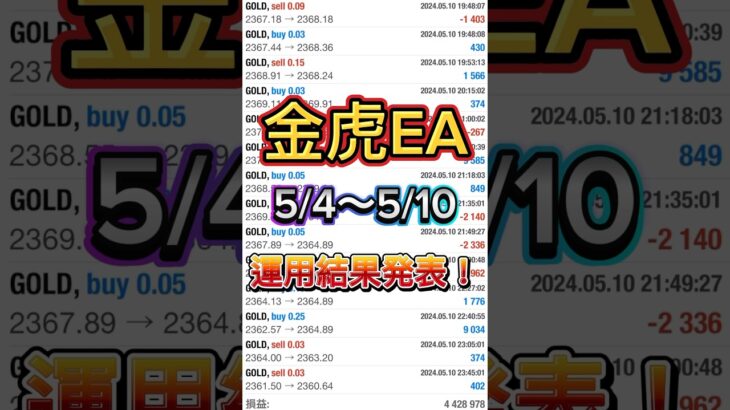 【自動売買】【FX】金虎EA運用結果報告🔥たった６日で○○万円✨余裕で400万稼げました！【金虎EA】【投資】【副業】【EA】#大学生#FX初心者#副業#株#FX#EA#自動売買#投資#FX自動売買