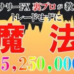 【禁断】バイナリー FX裏プロが教える10分でトレードせずに＋525万円【ハイロー】【ハイローオーストラリア】