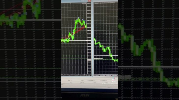 fx自動売買の損切り5.27 #投資 #fx #fx初心者 #自動売買ea