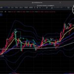 FX🇯🇵🇺🇸 仲値トレード　週間アップデート　投資の必勝法📊公開❹