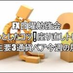 FX日曜勉強会 ちょっとしたコツ❕座り直しトレード＆主要3通貨ペア今週の展望