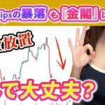 【1000pipsの暴落！】完全放置でなぜ大丈夫？！無料EA「金閣」を徹底解説！（FX自動売買 EA）