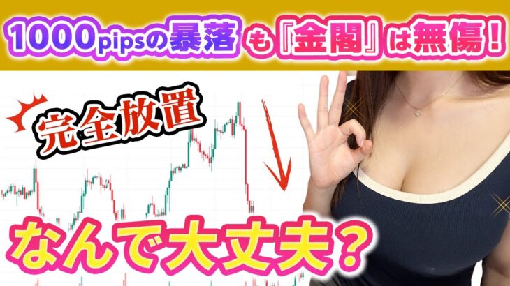 【1000pipsの暴落！】完全放置でなぜ大丈夫？！無料EA「金閣」を徹底解説！（FX自動売買 EA）