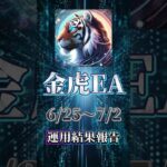 【自動売買】【FX】金虎EA運用報告🔥運用4ヶ月目も順調です！【金虎EA】【投資】【副業】#大学生#FX初心者#副業#株#FX#EA#自動売買#投資#FX自動売買