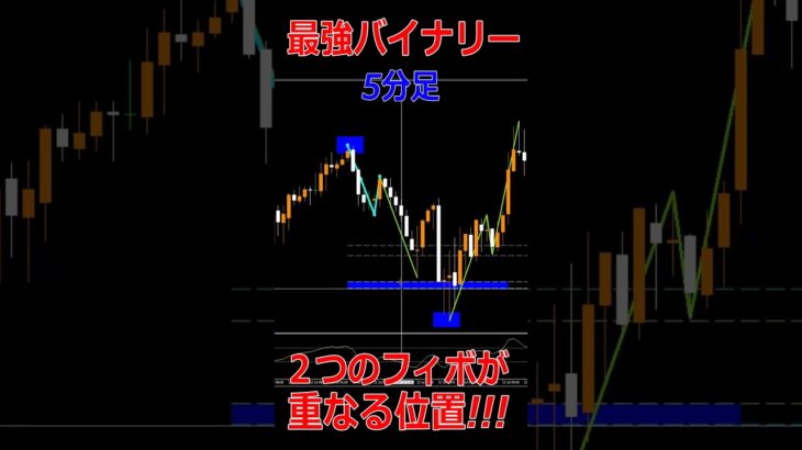 【必勝法】高勝率のバイナリーで勝てるポイントは「FXの利確位置」だった