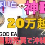 【FX自動売買】このEAやばすぎる❣️4日稼働してマイナス2回だけ❗️それも少額なんて最高😀✨