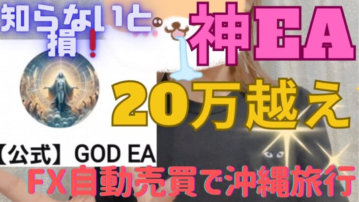 【FX自動売買】このEAやばすぎる❣️4日稼働してマイナス2回だけ❗️それも少額なんて最高😀✨