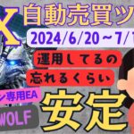 【FX自動売買ツール】仮想通貨EA 運用しているのを忘れるくらい安定感抜群☆BTC WOLF EA  金虎EA   ミリオンシップEA   神の目EA   ビットウルフ　ビットコイン   仮想通貨EA