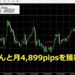 【高機能のFX手法を搭載】売買サインインジケーター。月間5,000pipsを獲得可能。Pips表示機能あり。バイナリーオプションでも使用可能。