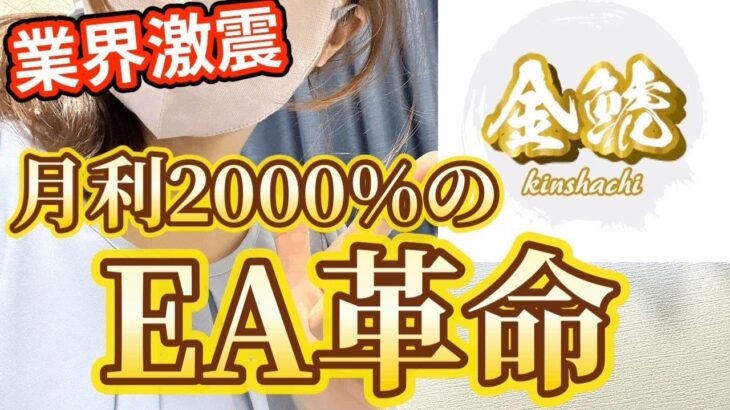 【革命】業界を激震させる金鯱EA！これは革命が起きてます！【FX 自動売買】【金鯱EA】