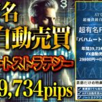 年間39,734pips獲得できる、FX自動売買プレゼント。29800円→0円で手に入ります。【バイナリー】【ハイローオーストラリア】【ハイロー】