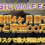 【FX自動売買】【FX初心者】BTC WOLF EA 運用結果報告🔥ビットコインでも4か月で○○万稼げました！！【BTC WOLF EA】【投資】【副業】