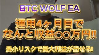 【FX自動売買】【FX初心者】BTC WOLF EA 運用結果報告🔥ビットコインでも4か月で○○万稼げました！！【BTC WOLF EA】【投資】【副業】