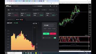 FX バイナリーオプション 専用ツール 240830