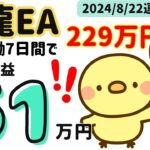 天龍EA★稼働7日間で229万円！｜金虎EA　神の目EA　ミリオンシップEA　金獅子EA　BTC WOLF　ビットコイン　FX自動売買　安定型　爆益型　無料EA　完全放置　不労所得　分散投資　EA太郎