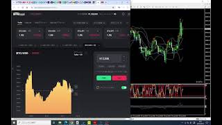 FX バイナリーオプション 専用ツール 240831