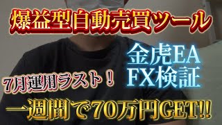 【FX自動売買】【FX初心者】金虎EA 運用結果報告💰7月最後に一週間で70万稼ぎました！【金虎EA】【投資】【副業】