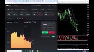 FX バイナリーオプション 専用ツール 240829
