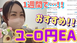 【FX自動売買】おすすめ！ユーロ円EA検証🌟暑さを吹き飛ばしたい！！