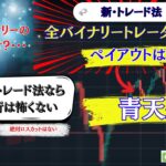 【FXか？バイナリーか？】リスクを限定して爆益も狙えるトレード法!!!《イージートレード》《バニラオプション》