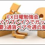 FX日曜勉強会　どんぐりブレイクでガッチリ💪主要3通貨ペア今週の展望