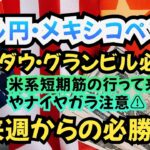 FX為替トレード　ドル円　メキシコペソ円　ギャンブル相場分析　来週からの必勝法！