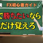 徹底解説！FX初心者向けのFXで勝ちたいならこれだけ覚えろ！